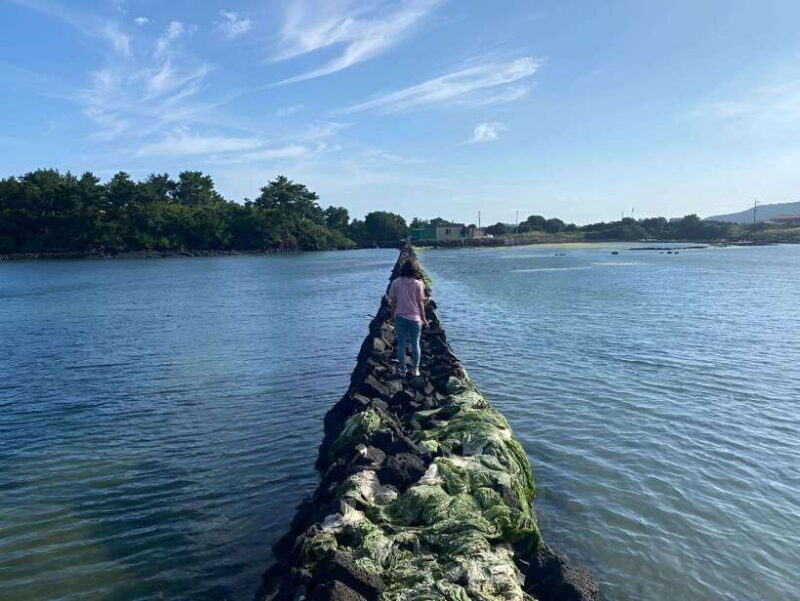 Jeju East: K-Drama Filming Spots Tour with Hotel Pickup - In-Depth Look at the Experience