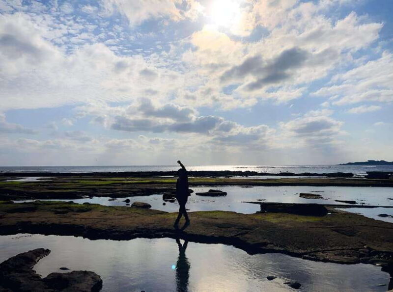 Jeju East: K-Drama Filming Spots Tour with Hotel Pickup - An In-Depth Look at the Jeju East K-Drama Tour