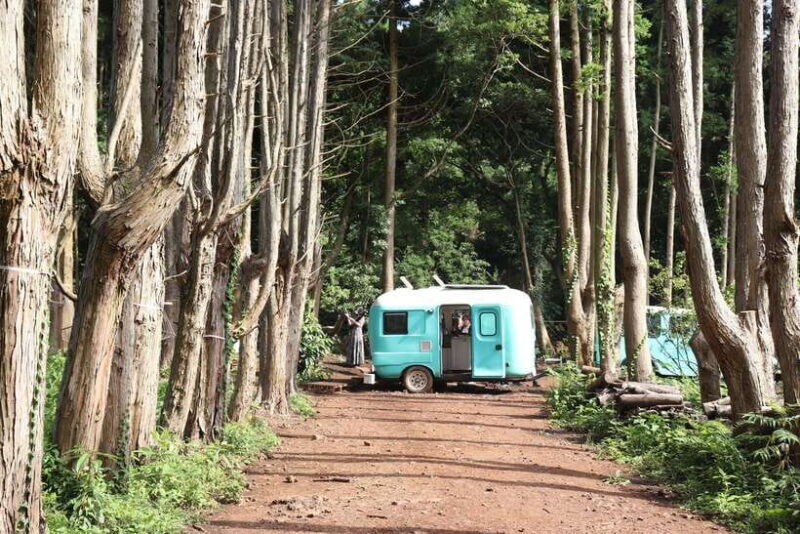 Jeju: East of Jeju Island Bus Tour from Seogwipo City - FAQ