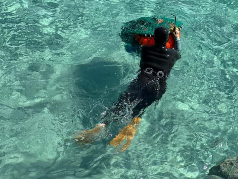 Jeju East: Small Group Healing Tour w/Woman Divers Show - Good To Know