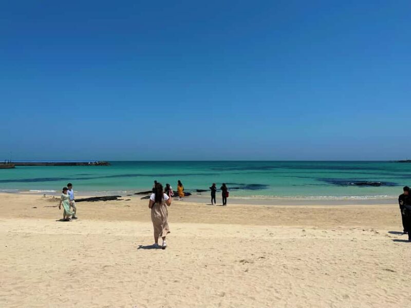 Jeju East: Small Group Healing Tour w/Woman Divers Show - Why This Tour Offers Real Value