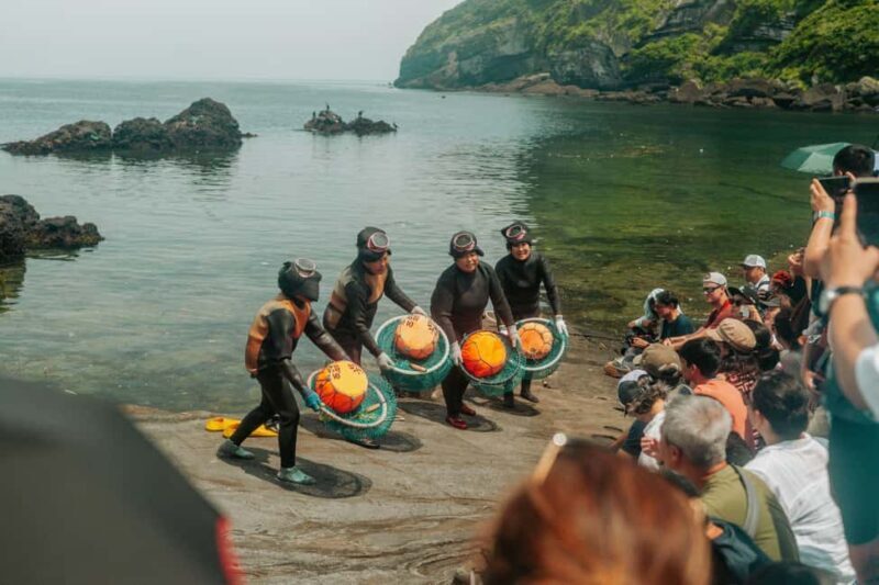 Jeju East Small Group Tour Cherry Blossom & Woman Diver Show - Final Thoughts