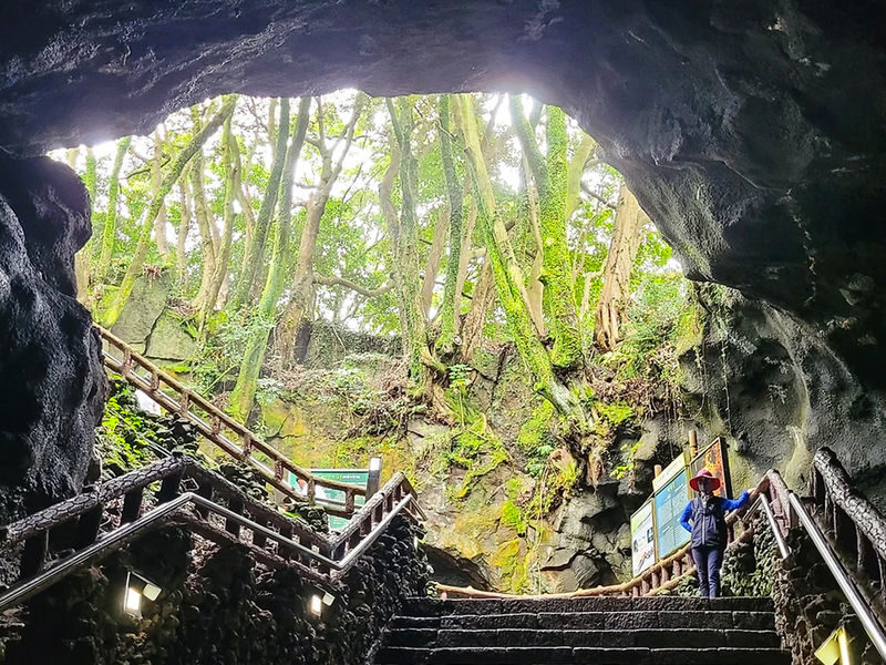 Jeju East Tour with Haenyeo Show & Lava Tube & Coastal Highlights - Who should book this east Jeju tour?