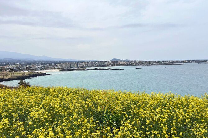 Jeju Eastern Must visit Unesco Spots Join In Tour - Who Will Love This Tour?