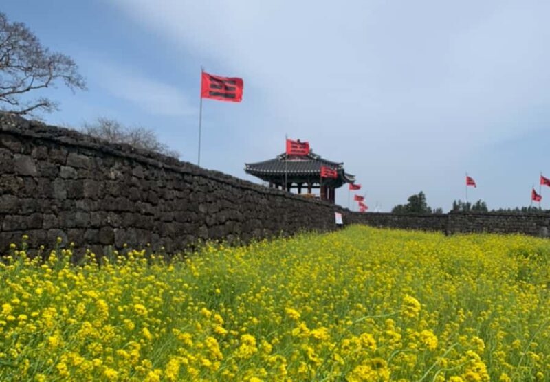 Jeju: Eastern Spring Cherry blossom& Canola & UNESCO Tour - The Sum Up