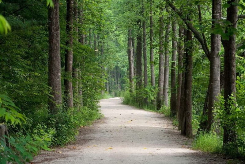 Jeju: Eastern UNESCO and Must-See Spots Tour - Authenticity and Cultural Depth