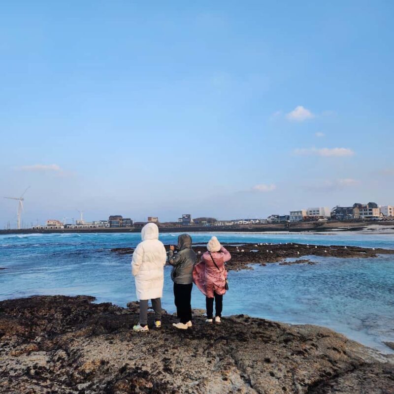 Jeju: Eastern UNESCO Join in Tour (Seongsan, Haenyeo Show) - Who should book this tour?