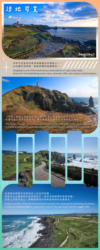 Jeju Eastern/ Western/ Hydrangea/ Seongsan Ilchulbong/ Private Tour - Who should choose this Jeju day tour?