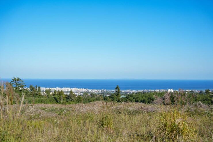 Jeju Essence Tour: Culture, Peaks & Caves - Cultural Experiences