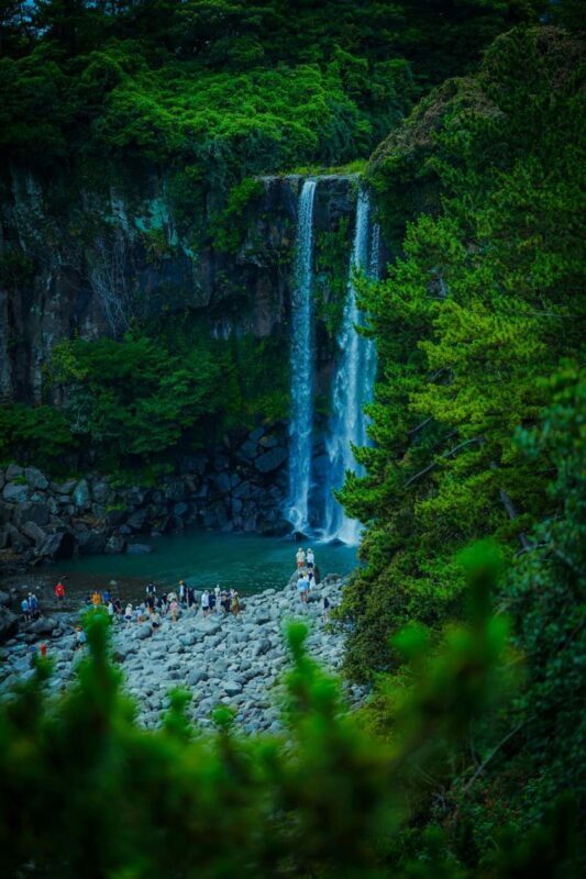 Jeju Essential Southwest Tour (1PM Late Departure) - Does the price match the value?