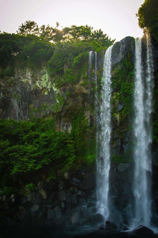 Jeju Essential Southwest Tour (1PM Late Departure) - Who should book this Jeju afternoon?
