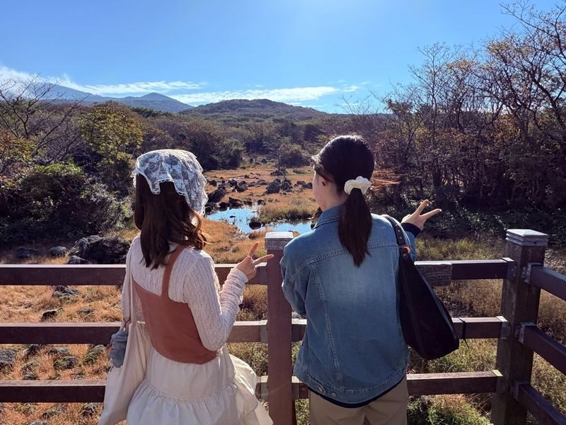 Jeju Fall Foliage, Tangerine Picking, Pink Muhly & Silver Grass Tour - Camellia Hill and its pink muhly display