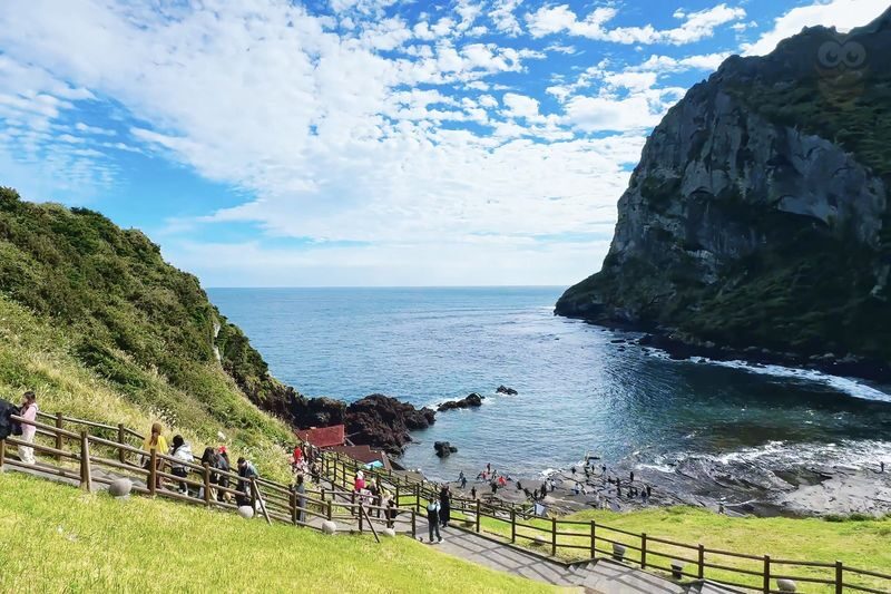 Jeju Full-Day Private Charter with Self-Guided Tour - Choose a route that fits the clock
