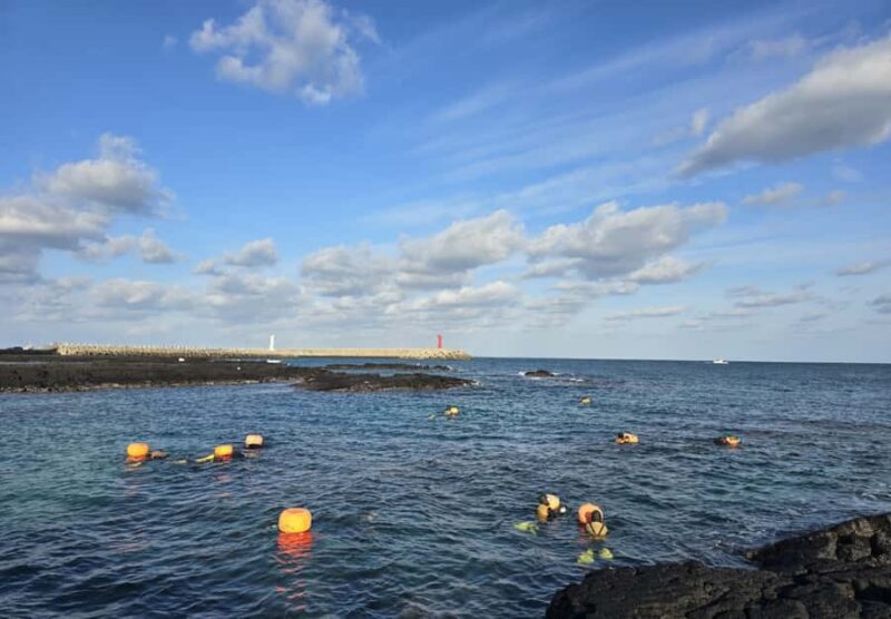 Jeju: Haenyeo Culture Experience with Seafood Tasting - Good To Know