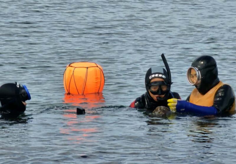 Jeju: Haenyeo Culture Experience with Seafood Tasting - An In-Depth Look at the Tour Experience