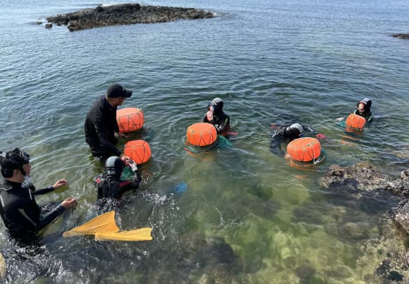 Jeju: Haenyeo Culture Experience with Seafood Tasting - The Experience in Detail