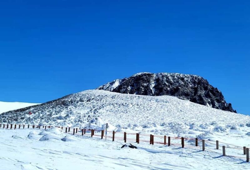 Jeju: HALLASAN National Park Guided Snow Climb (5hr_w/Gear) - Good To Know