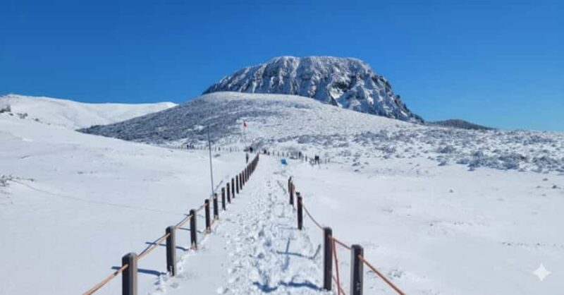 Jeju: HALLASAN National Park Guided Snow Climb (5hr_w/Gear) - A Deep Dive into the Jeju Snow Climb Experience