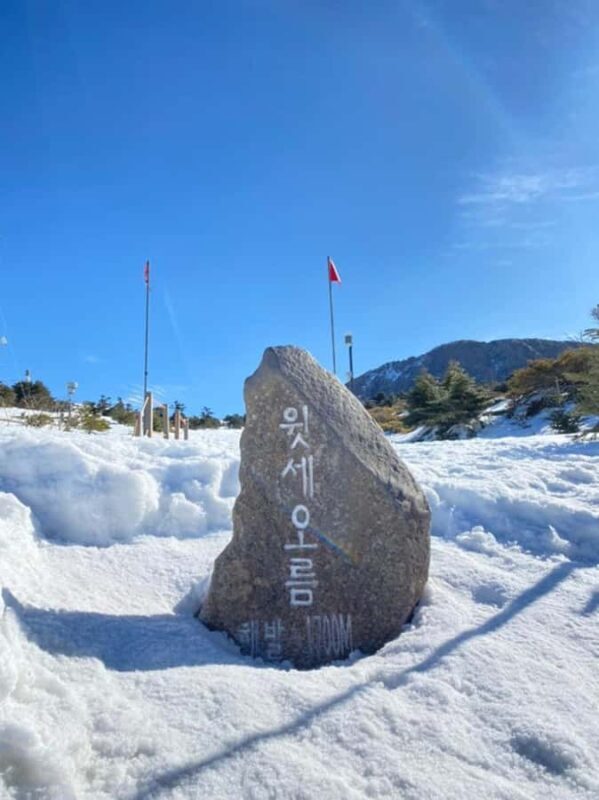 Jeju: HALLASAN National Park Guided Snow Climb (5hr_w/Gear) - Who Is This Tour Best For?