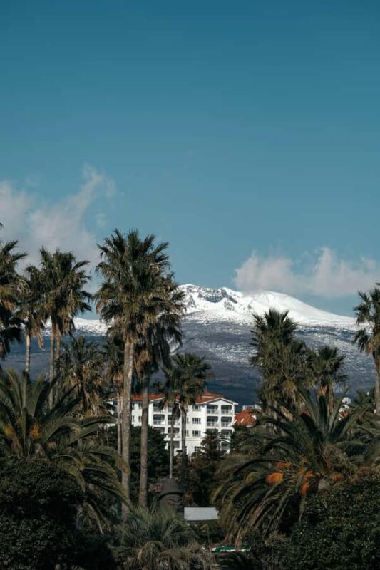 Jeju: HALLASAN National Park Guided Snow Climb (5hr_w/Gear) - The Sum Up