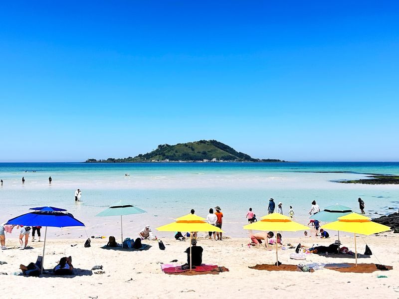 Jeju Healing UNESCO Small Group East/West/South Day Tour - The useful details at a glance