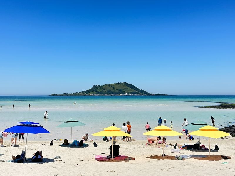 Jeju Healing UNESCO Small Group East/West/South Day Tour - Haenyeo at Umutgae Coast