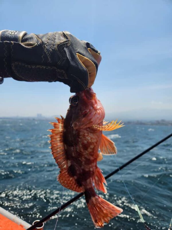 Jeju: Hidden Gems Sea Boat Fishing Tour with Lunch - Discover Jeju’s Hidden Coastal Charm with a Sea Boat Fishing Tour