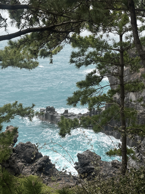 Jeju: Highlight Customized Private Tour With Expert Guide - Must-See Attractions