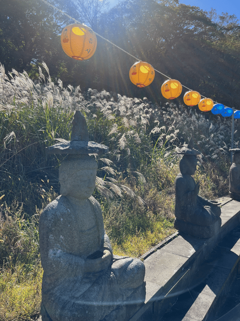 Jeju: Highlight Customized Private Tour With Expert Guide - Natural Wonders of Jeju