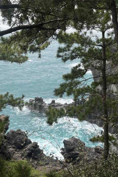Jeju: Highlight Customized Private Tour With Expert Guide - Questions You May Have