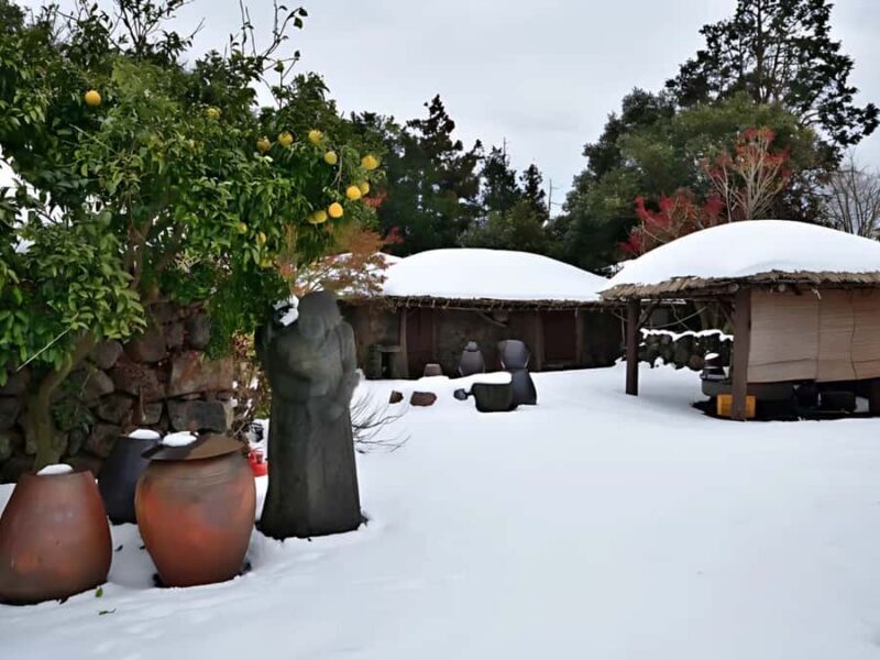 Jeju: Hotel Pickup East Snow, Camellia, Tangerine Picking - FAQs