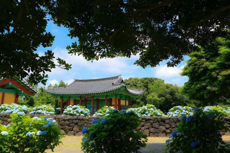 Jeju Hydragea Festival Tour : EAST Route - Introduction