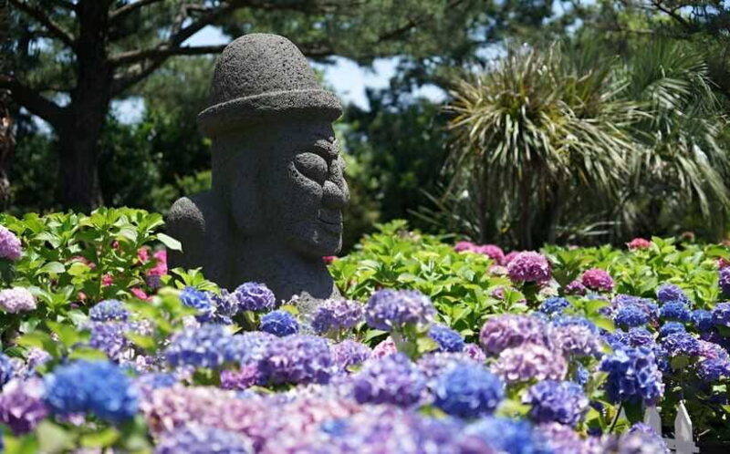 Jeju Hydragea Festival Tour : EAST Route - Who Is This Tour Best For?