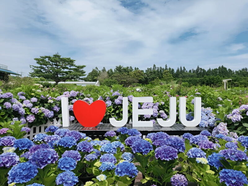Jeju Hydragea Festival Tour : EAST Route - FAQ