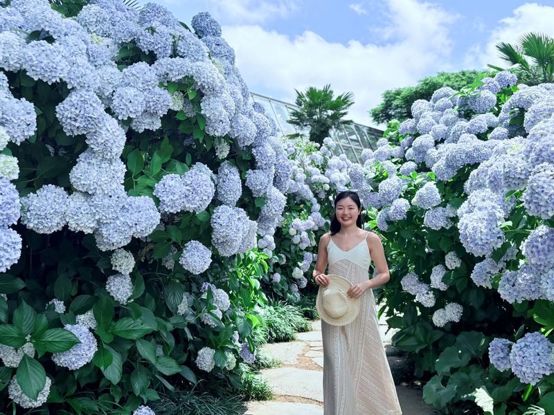 Jeju Hydrangea & Tangerine Cafe Tour incl. Admissions, Hotel Pick-up - Hallasan begins with a high-altitude wetland walk