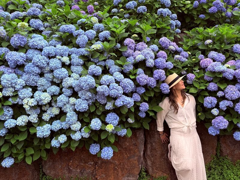 Jeju Hydrangea & Tangerine Cafe Tour incl. Admissions, Hotel Pick-up - A local lunch break, with the bill on you