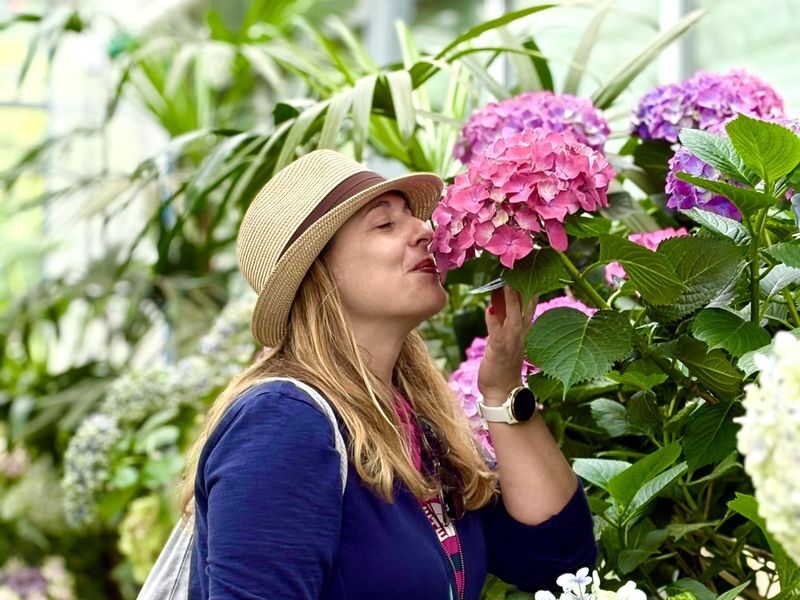 Jeju Hydrangea & Tangerine Cafe Tour incl. Admissions, Hotel Pick-up - A tangerine cafe in a stone storage house
