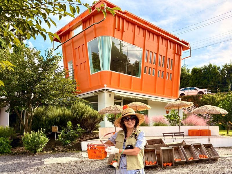 Jeju Hydrangea & Tangerine Cafe Tour incl. Admissions, Hotel Pick-up - What the price covers, and what it does not