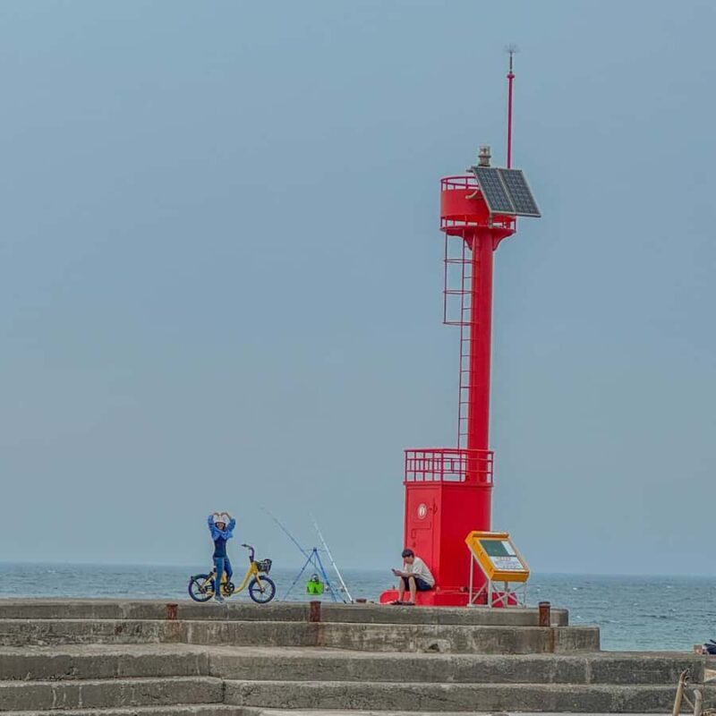 Jeju Island: 1 Day Private Tour - Good To Know