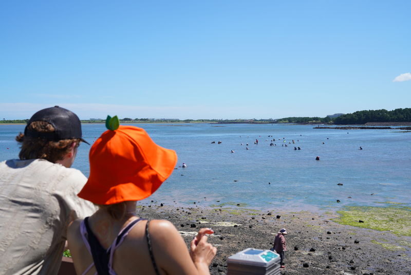 Jeju Island Authentic Tour Tangerine Picking & Haenyeo & UNESCO - Lunch is a pause, not an included meal