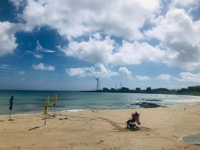 Jeju Island: Customized Private Full-Day Van Tour - The Guide and Customization