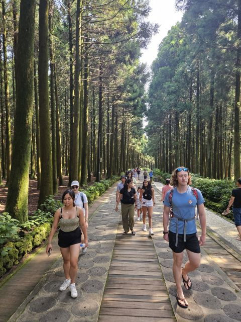 Jeju Island East Bus Tour With Lunch Included Full Day Trip - Tour Highlights