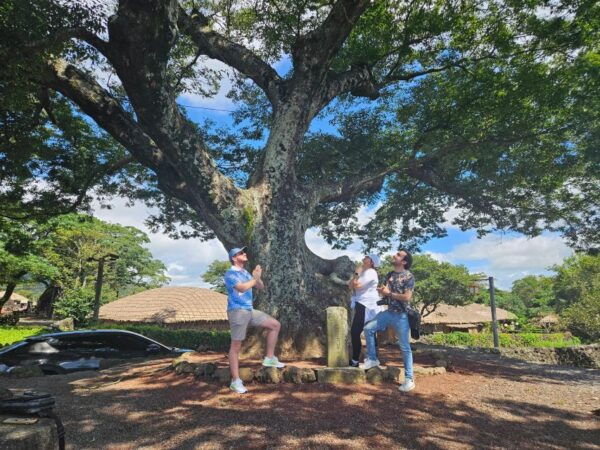 Jeju Island East Bus Tour With Lunch Included Full Day Trip - Common Questions