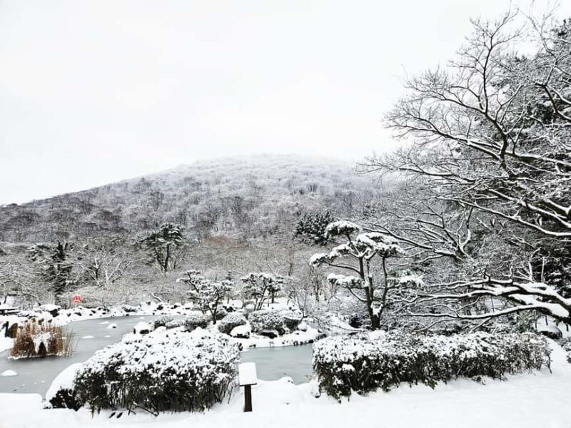 Jeju Island: East Jeju UNESCO Highlights Full-Day Tour - A Deep Dive into the Experience