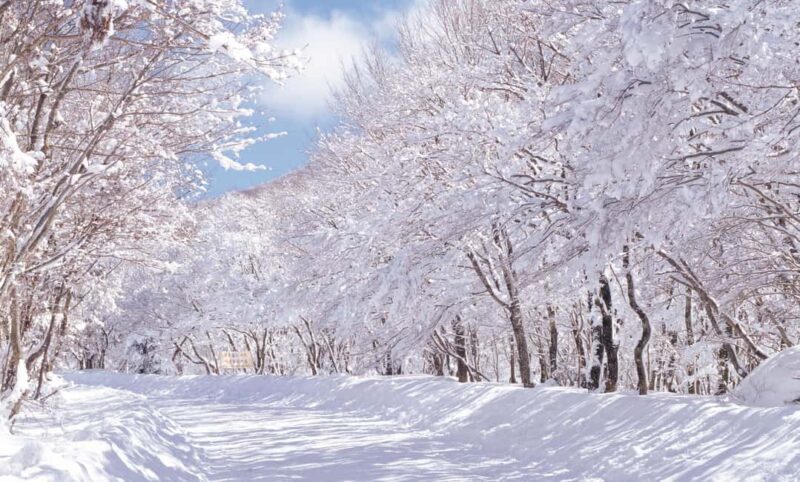 Jeju Island: East Jeju UNESCO Highlights Full-Day Tour - FAQs