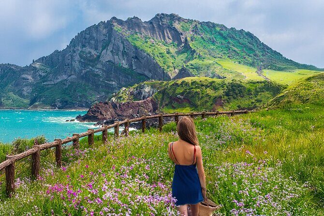 Jeju island Eastern UNESCO site Full Day Guided Tour - In Summary