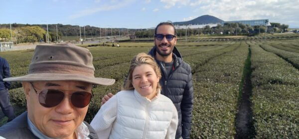 Jeju Island: Full-Day Customizable Private Guided Car Tour - Inclusions and Exclusions