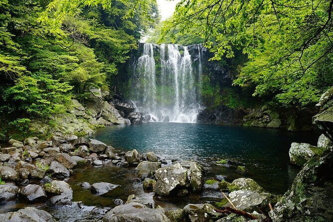 Jeju Island -Full Day Flexible Sightseeing Private (Guide tour) - Final Thoughts