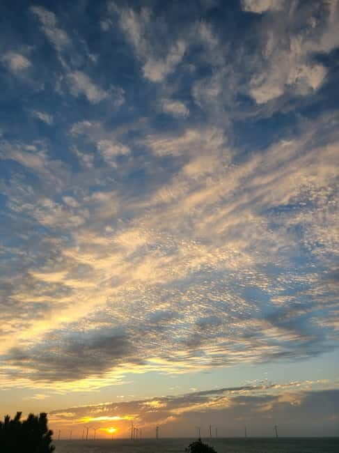 Jeju Island: Hallasan Mountain Winter Scenery Guided Tour - Good To Know