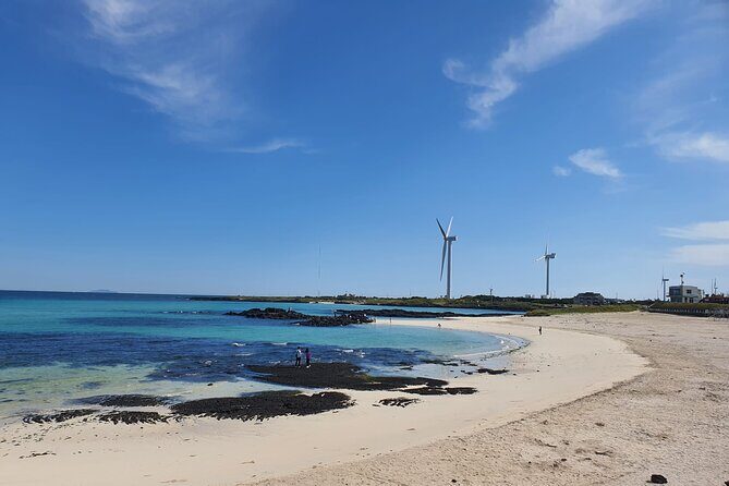 Jeju island Jumbo Taxi Private Tour with Mr.Hong South of Jeju - FAQ